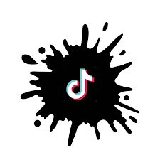 Seguidores a TikTok